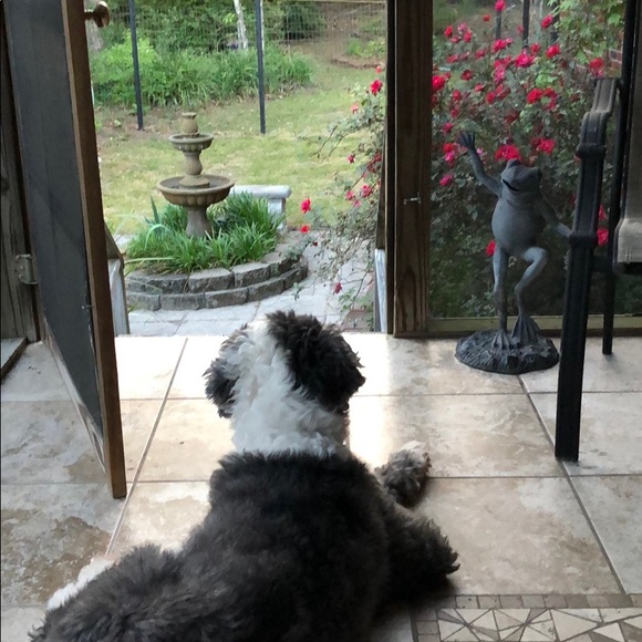 Meet your Posher, Karen - Picture 1 of 1